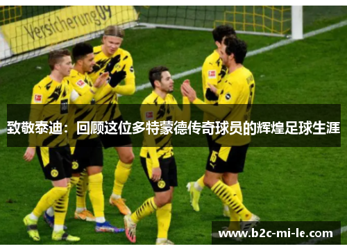 致敬泰迪:回顾这位多特蒙德传奇球员的辉煌足球生涯 致敬泰迪:回顾这位多特蒙德传奇球员的辉煌足球生涯