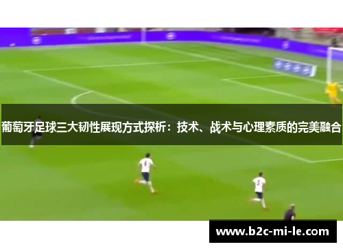 葡萄牙足球三大韧性展现方式探析：技术、战术与心理素质的完美融合