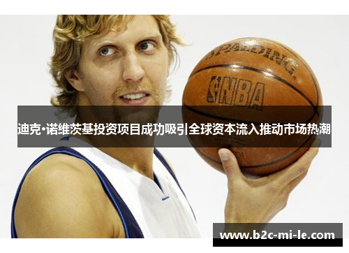 迪克·诺维茨基投资项目成功吸引全球资本流入推动市场热潮